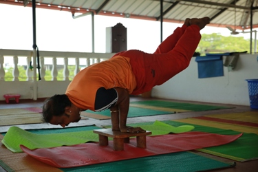 Slim Yoga For Ladies in Tripunithura,Ernakulam - Best Yoga Classes in  Ernakulam - Justdial
